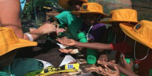 Yakanarra kids planting seeds - image credit EON